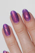 MOONSTRUCK COLLECTION SET